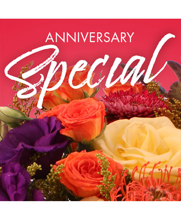 Anniversary Special Designer's Choice in Bristol, CT | DONNA'S FLORIST & GIFTS