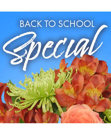 Back to School Special Designer's Choice in Bristol, CT | DONNA'S FLORIST & GIFTS