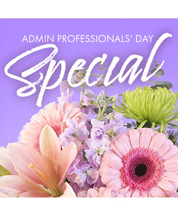 Beautiful Admin Special Designer's Choice in Bristol, CT | DONNA'S FLORIST & GIFTS