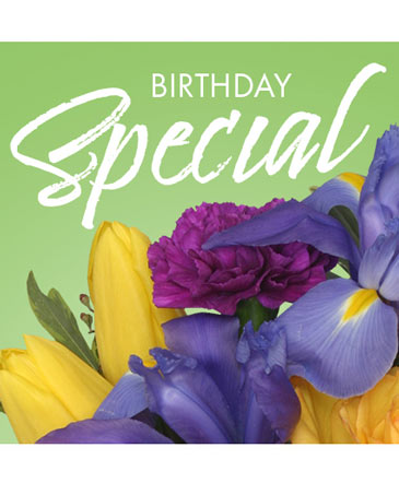 Birthday Special Designer's Choice in Bristol, CT | DONNA'S FLORIST & GIFTS