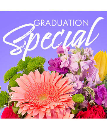 Graduation Special Designer's Choice in Bristol, CT | DONNA'S FLORIST & GIFTS
