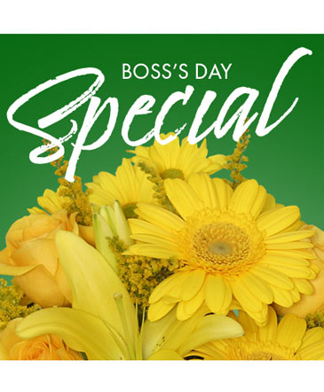 Boss's Day Special Designer's Choice in Bristol, CT | DONNA'S FLORIST & GIFTS