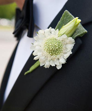 Dashing Boutonniere in Bristol, CT | DONNA'S FLORIST & GIFTS