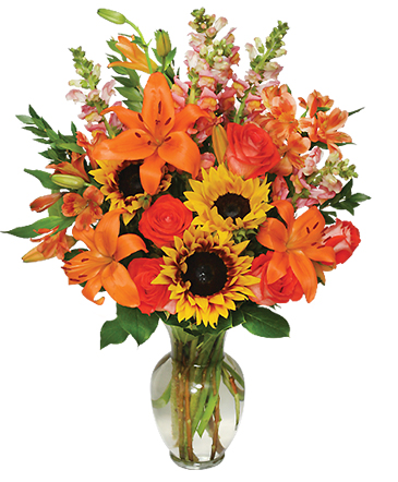 Fall Flower Gala Arrangement in Bristol, CT | DONNA'S FLORIST & GIFTS