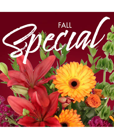 Fall Special Designer's Choice in Bristol, CT | DONNA'S FLORIST & GIFTS