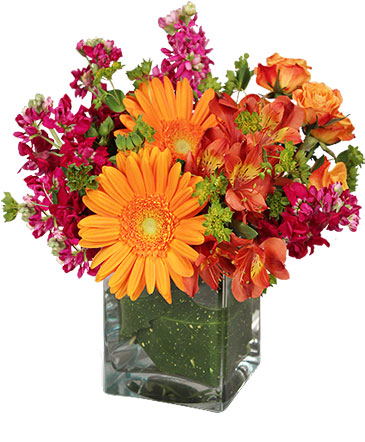 Floral Exuberance Arrangement in Bristol, CT | DONNA'S FLORIST & GIFTS