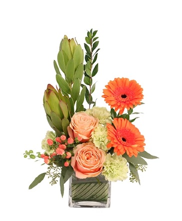Friendly Sorbet Floral Design  in Bristol, CT | DONNA'S FLORIST & GIFTS