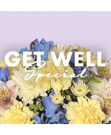 Get Well Special Designer's Choice in Bristol, CT | DONNA'S FLORIST & GIFTS