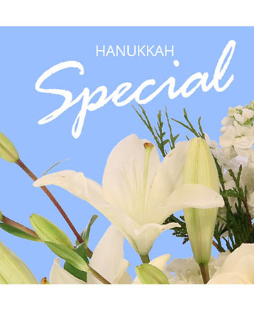 Hanukkah Special Designer's Choice in Bristol, CT | DONNA'S FLORIST & GIFTS