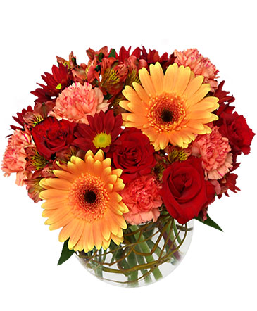 Hot & Spicy Vase of Flowers in Bristol, CT | DONNA'S FLORIST & GIFTS