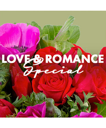 Love & Romance Special Designer's Choice in Bristol, CT | DONNA'S FLORIST & GIFTS