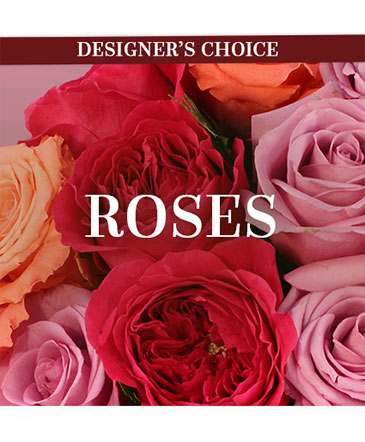 Lovely Roses Designer's Choice in Bristol, CT | DONNA'S FLORIST & GIFTS