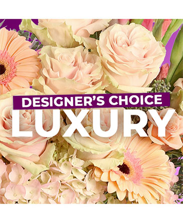 Luxury Flowers Designer's Choice in Bristol, CT | DONNA'S FLORIST & GIFTS