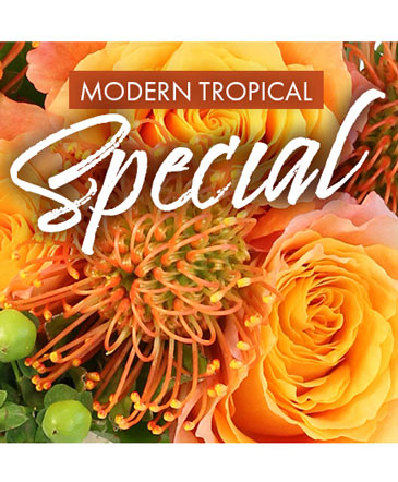 Modern Tropical Special Designer's Choice in Bristol, CT | DONNA'S FLORIST & GIFTS
