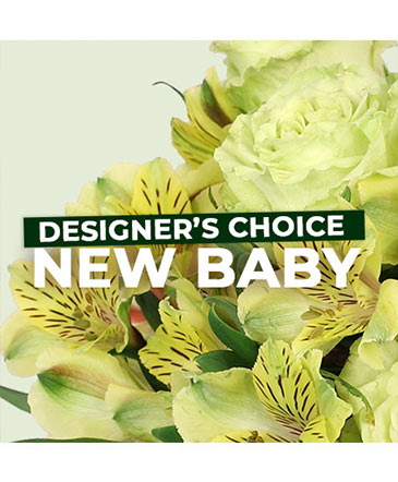 New Baby Flowers Designer's Choice in Bristol, CT | DONNA'S FLORIST & GIFTS