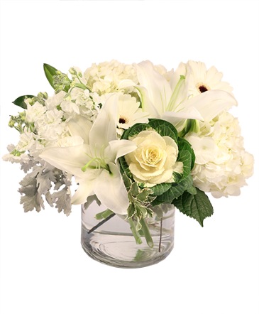 Peaceful Purity Floral Arrangement in Bristol, CT | DONNA'S FLORIST & GIFTS