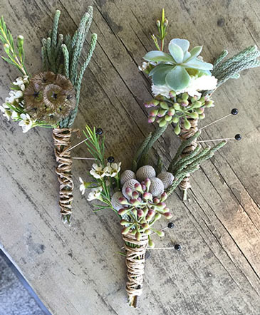 Succulent Serenity Boutonniere in Bristol, CT | DONNA'S FLORIST & GIFTS