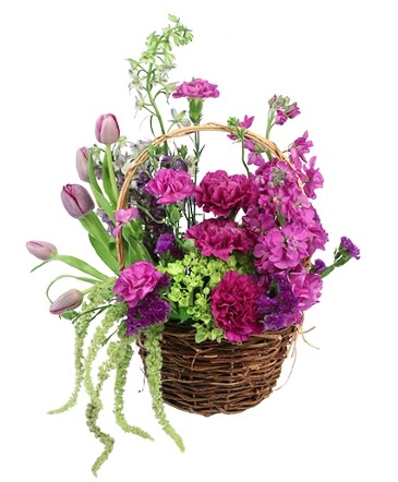 Tasteful Plums Basket Arrangement in Bristol, CT | DONNA'S FLORIST & GIFTS