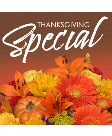 Thanksgiving Special Designer's Choice in Bristol, CT | DONNA'S FLORIST & GIFTS