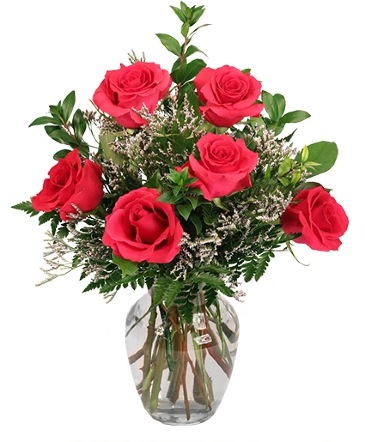 Vibrant Fuchsia Roses Rose Arrangement in Bristol, CT | DONNA'S FLORIST & GIFTS