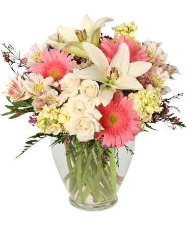Welcome Baby Girl Flower Arrangement in Bristol, CT | DONNA'S FLORIST & GIFTS