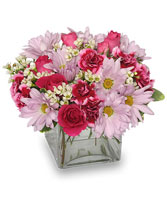 THOUGHTFUL EXPRESSIONS Arrangement