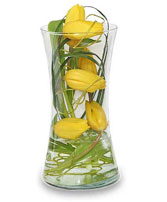 TULIP TRIBUTE Floral Arrangement