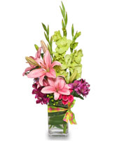 SOOTHING SPRINGTIME Arrangment